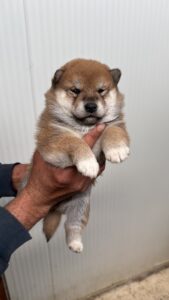 5AB139E1-D897-4EF8-A052-9070E1F39DE0