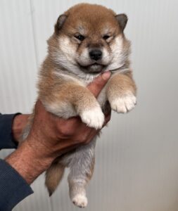 5AB139E1-D897-4EF8-A052-9070E1F39DE0