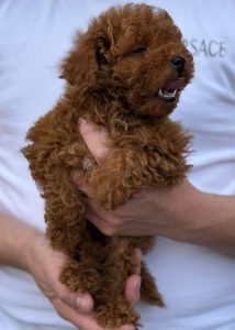 WhatsApp Image 2026-02-23 at 15.47.25 (2)