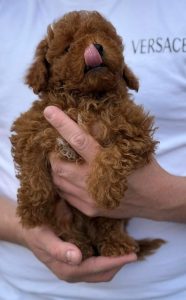 WhatsApp Image 2026-02-23 at 15.47.25 (3)