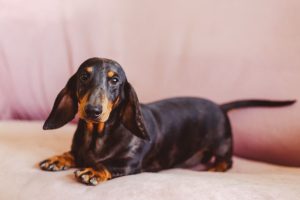 WhatsApp Image 2026-02-23 at 15.47.26