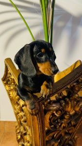 WhatsApp Image 2026-02-23 at 15.47.27 (1)