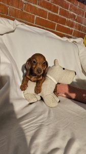 WhatsApp Image 2026-02-23 at 15.47.27