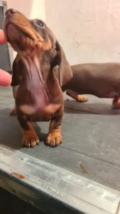 WhatsApp Image 2026-02-23 at 15.47.28