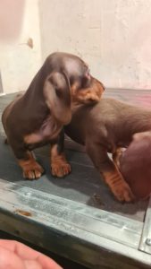 WhatsApp Image 2026-02-23 at 15.47.28 (2)