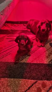 WhatsApp Image 2026-02-23 at 15.47.29 (1)