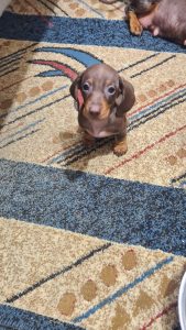 WhatsApp Image 2026-02-23 at 15.47.29