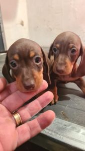 WhatsApp Image 2026-02-23 at 15.47.30