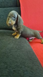 WhatsApp Image 2026-02-23 at 15.47.31 (1)