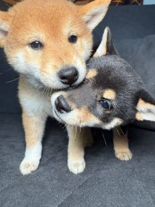 WhatsApp Image 2026-02-23 at 15.47.34 (2)