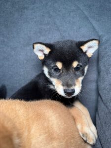 WhatsApp Image 2026-02-23 at 15.47.34