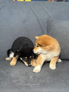 WhatsApp Image 2026-02-23 at 15.47.35 (1)