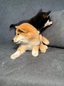 WhatsApp Image 2026-02-23 at 15.47.35 (2)