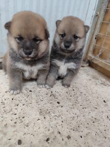 WhatsApp Image 2026-02-23 at 15.47.37 (1)