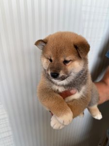 WhatsApp Image 2026-02-23 at 15.47.38