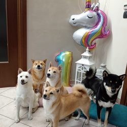 1000002860