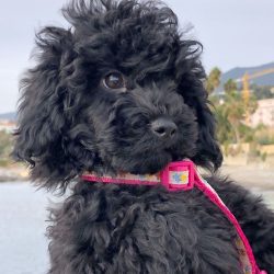 378D385A-1880-4F41-90DD-01911E1CA989-e1647127637754